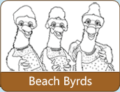 Beach Byrds