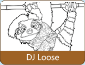 DJ Loose