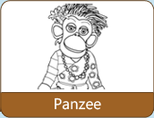 Panzee