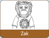 Zak